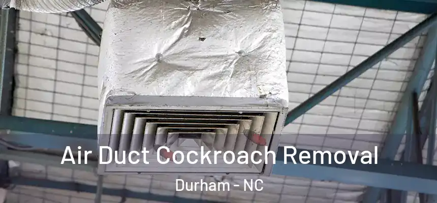 Air Duct Cockroach Removal Durham - NC