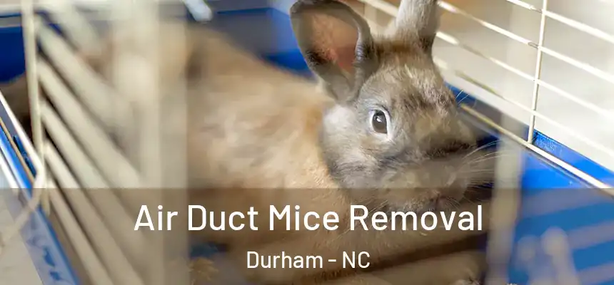 Air Duct Mice Removal Durham - NC