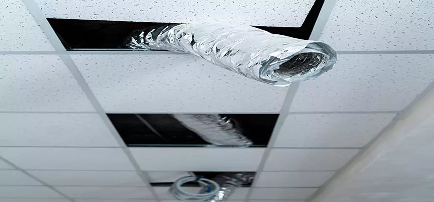 Our Air Duct Pet Hair Removal Services in Durham, NC