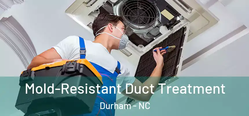  Mold-Resistant Duct Treatment Durham - NC