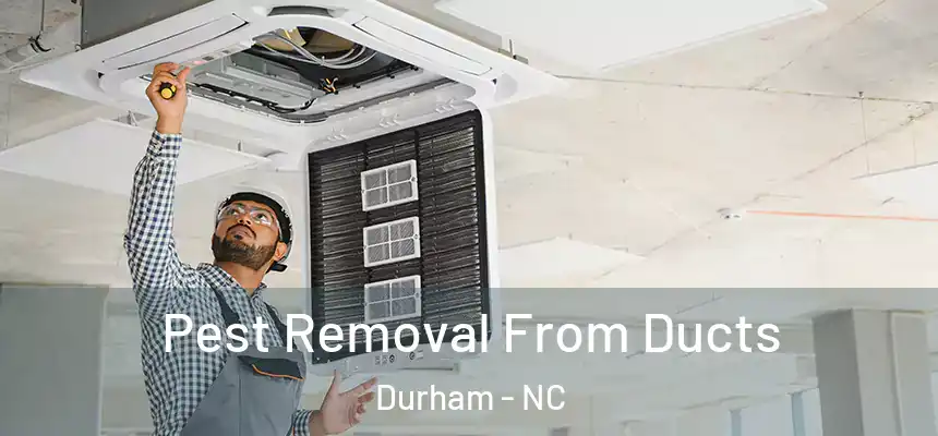 Pest Removal From Ducts Durham - NC