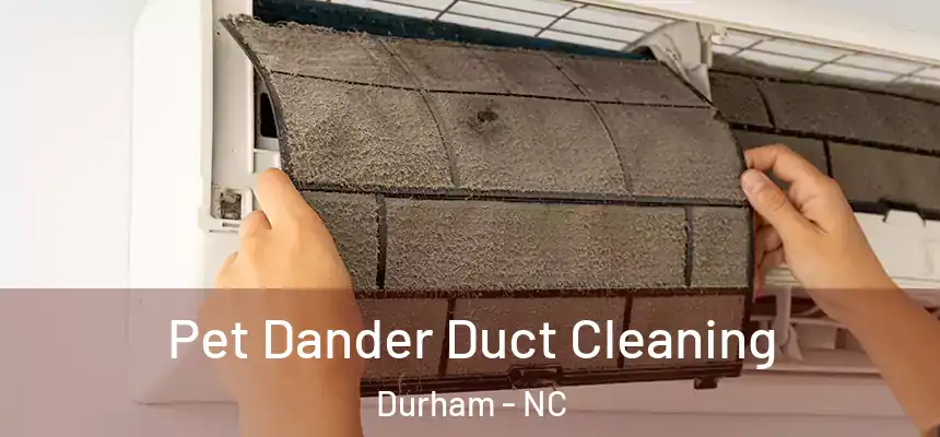 Pet Dander Duct Cleaning Durham - NC