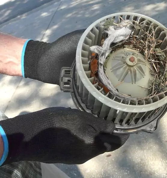 About Air Duct Mice Removal in Durham, NC