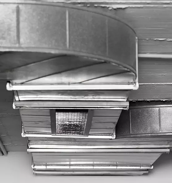 Professional Air Duct Pet Hair Removal in Durham, NC