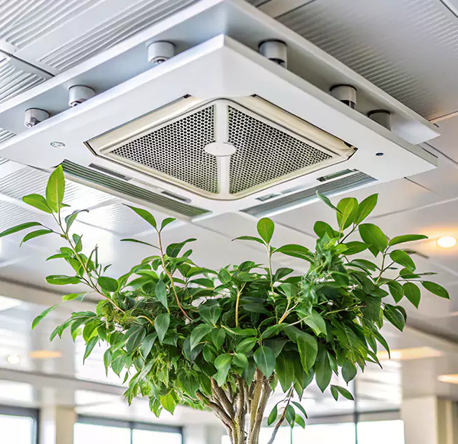 Why Homeowners & Businesses Trust Us in Durham, NC?