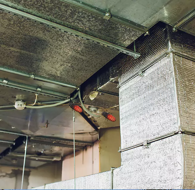 Why Homeowners & Businesses Trust Us Durham, NC?